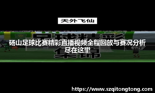 砀山足球比赛精彩直播视频全程回放与赛况分析尽在这里